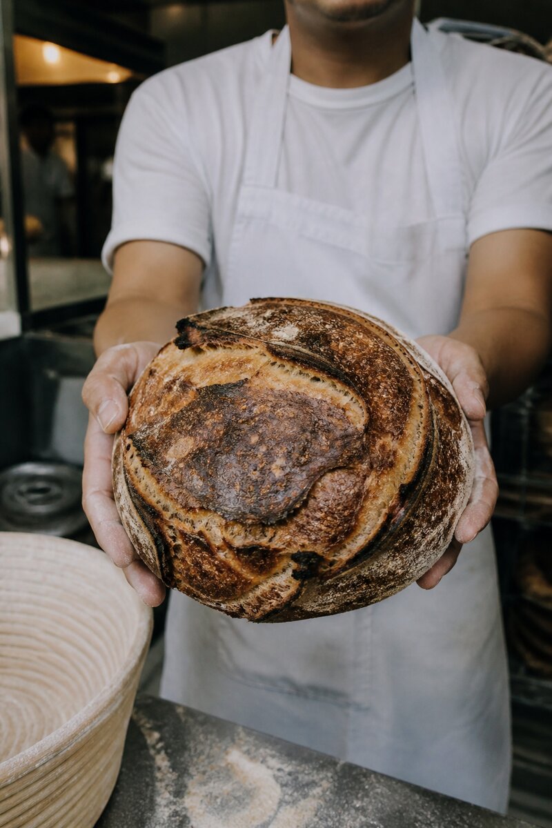 A baker's hands holding a freshly baked sourdough loaf with a dark, crackling, well-scored crust